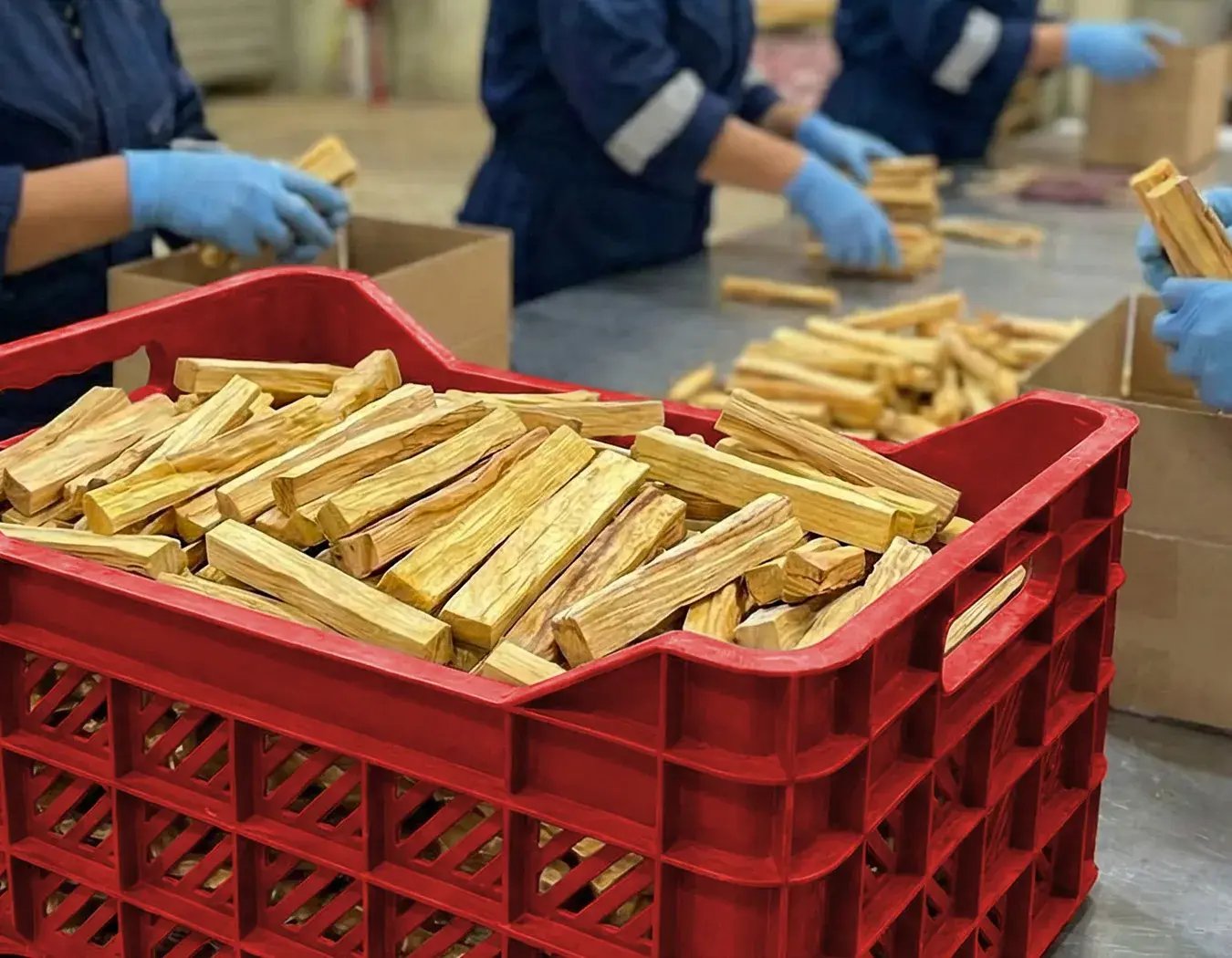 embalado-para-exportacion-palo-santo-1