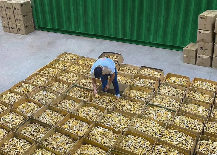 inspeccion-calidad-palo-santo-por-lote